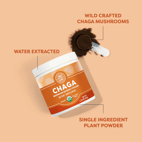 Chaga Orgánico en Polvo – Superalimento Celular (50 gr)